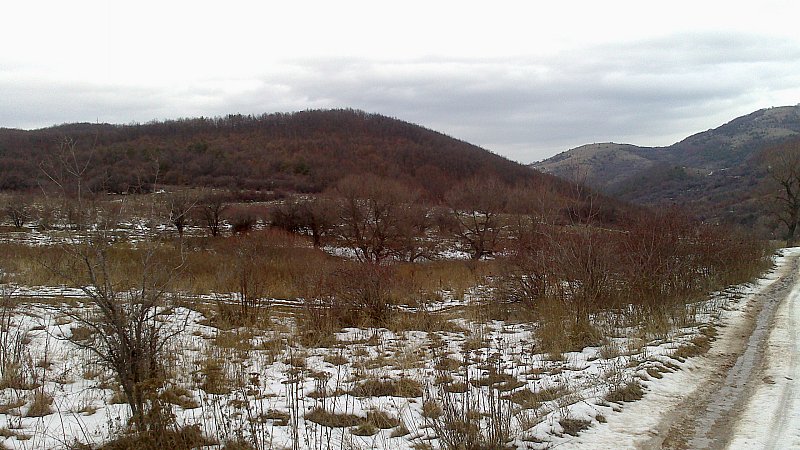 Натиснете снимката за да я уголемите

Име:DSC_0067.jpg
Прегледи:1
Размер:114.6 КБ
ID:5437738