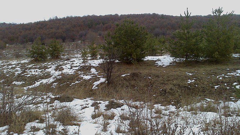 Натиснете снимката за да я уголемите

Име:DSC_0069.jpg
Прегледи:1
Размер:142.4 КБ
ID:5437740