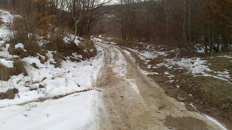 Натиснете снимката за да я уголемите

Име:DSC_0074.jpg
Прегледи:1
Размер:130.6 КБ
ID:5437897