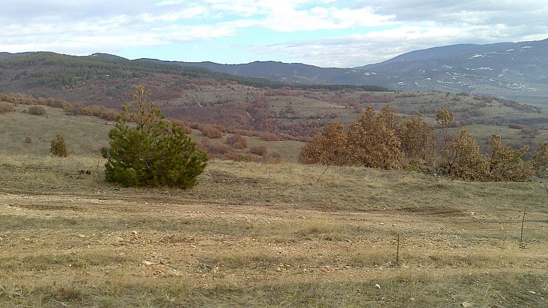 Натиснете снимката за да я уголемите

Име:DSC_0107.jpg
Прегледи:1
Размер:118.4 КБ
ID:5437924