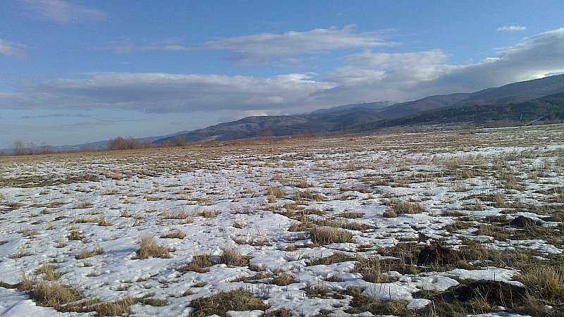 Натиснете снимката за да я уголемите

Име:DSC_0149.jpg
Прегледи:1
Размер:129.1 КБ
ID:5437961
