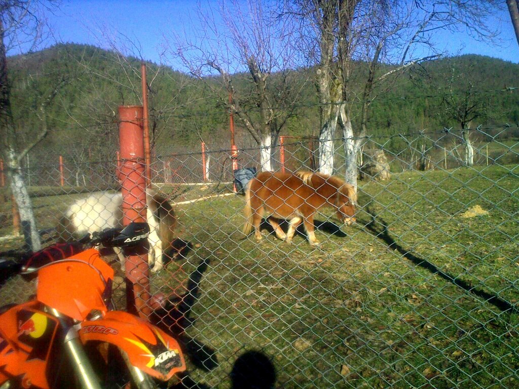 Натиснете снимката за да я уголемите

Име:311220121516.jpg
Прегледи:1
Размер:251.2 КБ
ID:5440086