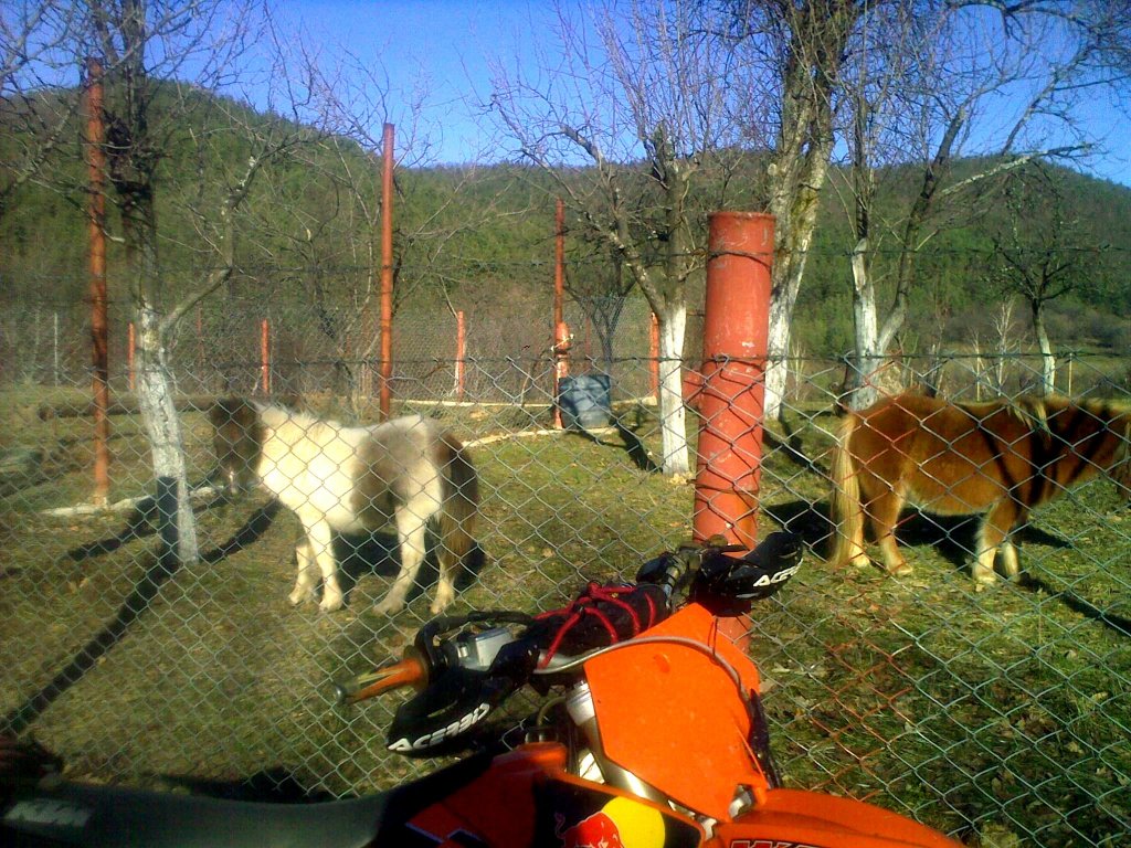 Натиснете снимката за да я уголемите

Име:311220121517.jpg
Прегледи:1
Размер:242.0 КБ
ID:5440087