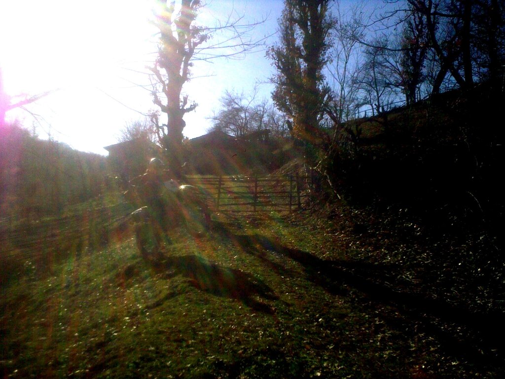 Натиснете снимката за да я уголемите

Име:311220121513.jpg
Прегледи:1
Размер:159.3 КБ
ID:5440098