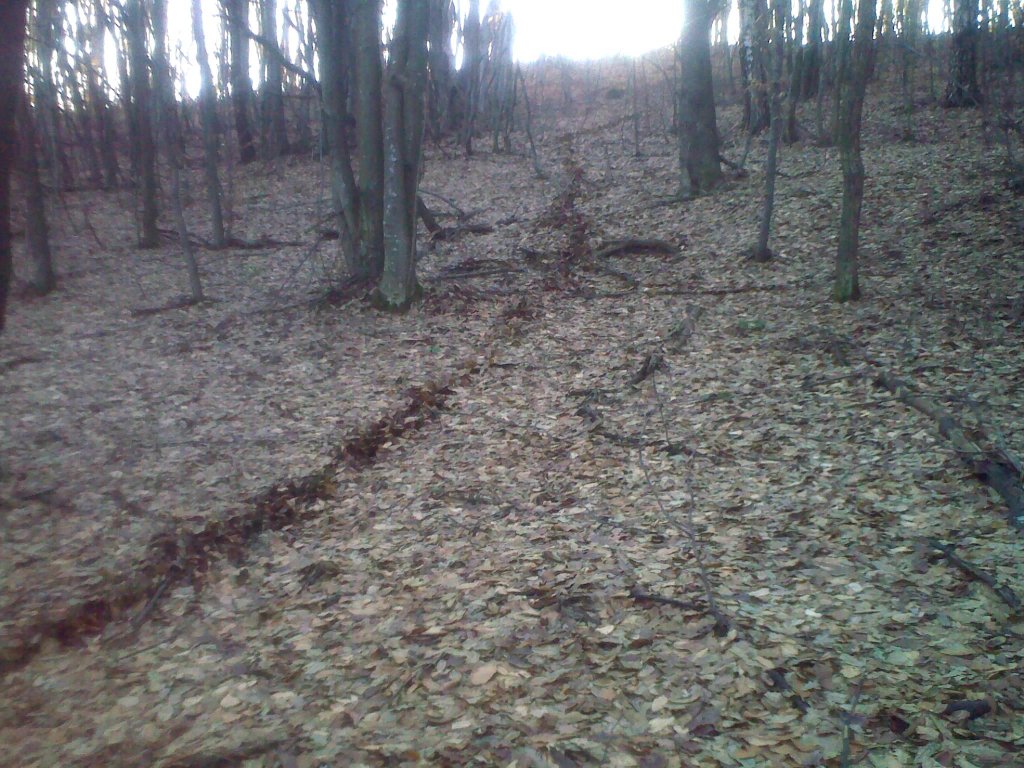 Натиснете снимката за да я уголемите

Име:311220121528.jpg
Прегледи:1
Размер:199.6 КБ
ID:5440102