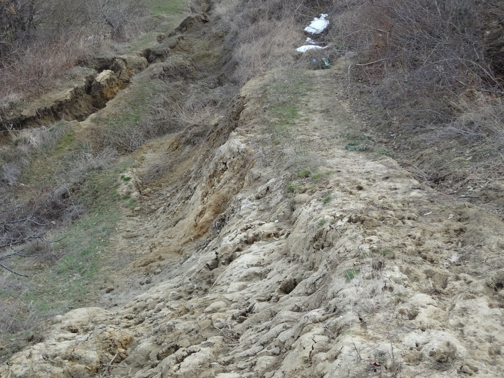 Натиснете снимката за да я уголемите

Име:DSC01738.jpg
Прегледи:1
Размер:277.4 КБ
ID:5440878