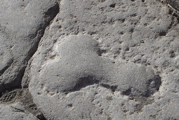 Натиснете снимката за да я уголемите

Име:Capture_014.jpg
Прегледи:1
Размер:123.5 КБ
ID:5442557