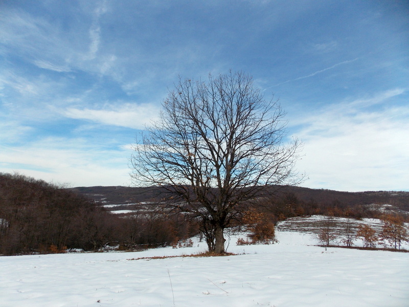 Натиснете снимката за да я уголемите

Име:DSCN1396.JPG
Прегледи:1
Размер:169.6 КБ
ID:5442638