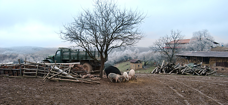 Натиснете снимката за да я уголемите

Име:pic_9997464_0493128.jpg
Прегледи:2
Размер:208.1 КБ
ID:5442644