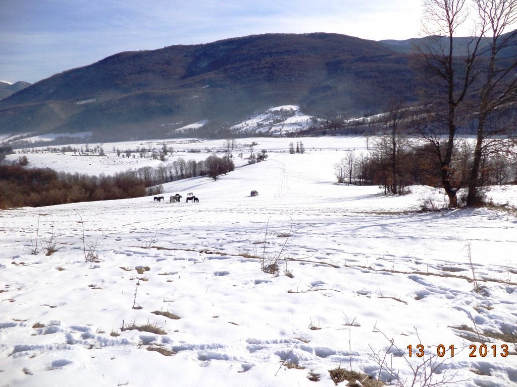 Натиснете снимката за да я уголемите

Име:DSC00338.jpg
Прегледи:1
Размер:166.8 КБ
ID:5443660