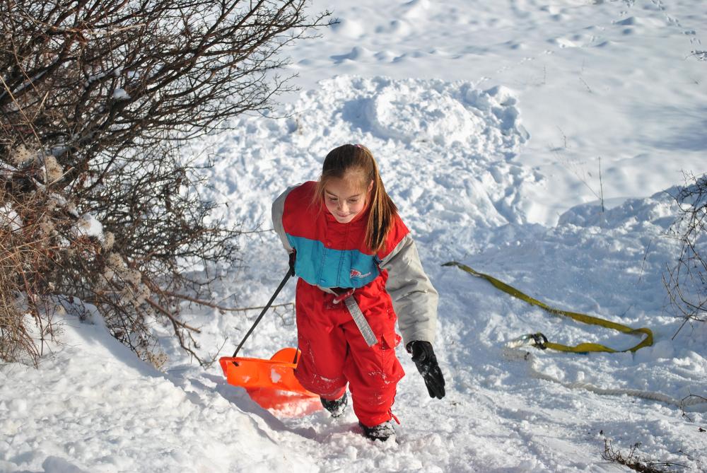 Натиснете снимката за да я уголемите

Име:DSC_5373.JPG
Прегледи:1
Размер:177.9 КБ
ID:5443941