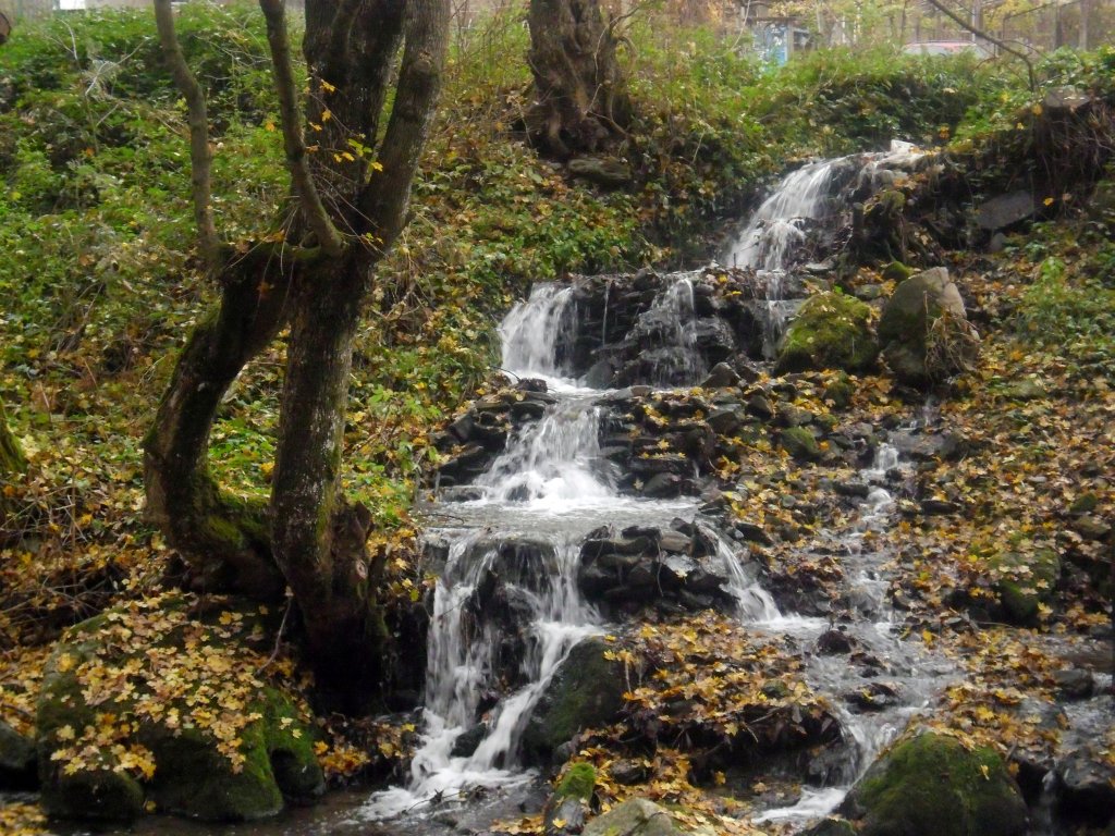 Натиснете снимката за да я уголемите

Име:SAM_3162.jpg
Прегледи:1
Размер:242.6 КБ
ID:5444124