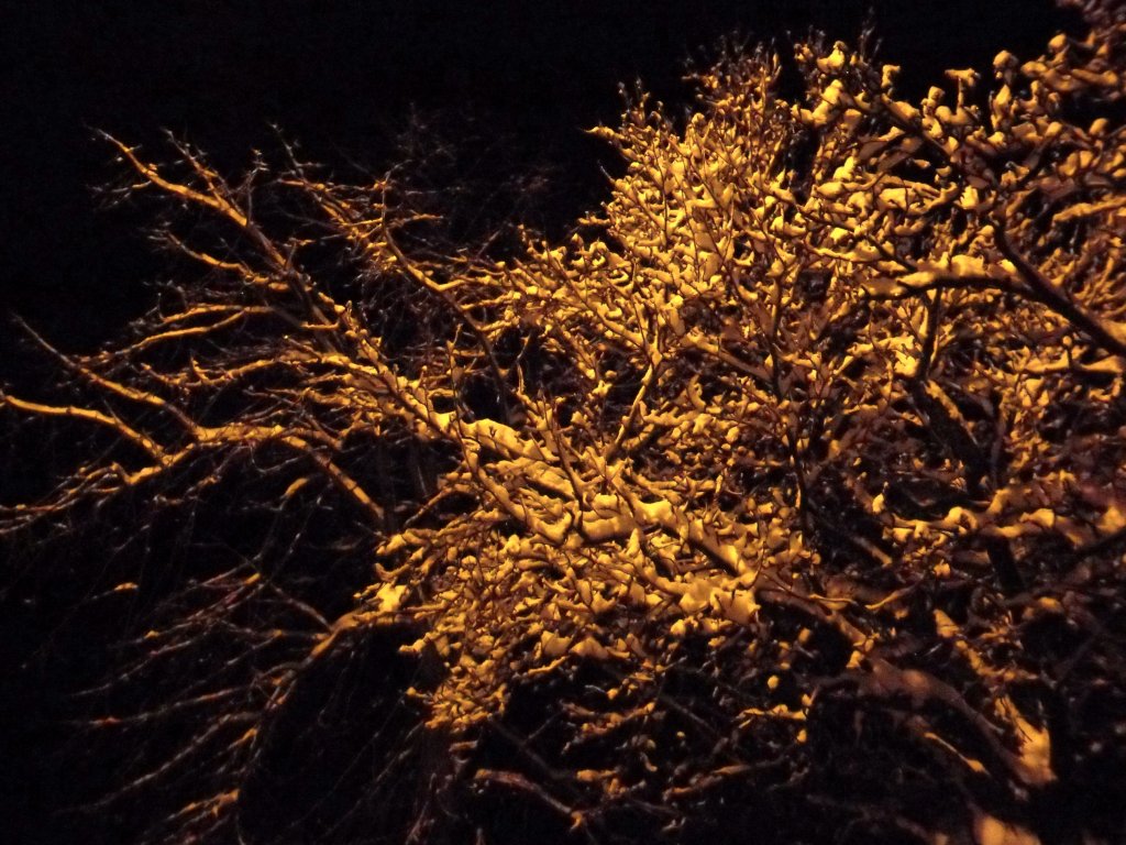 Натиснете снимката за да я уголемите

Име:SAM_3312.jpg
Прегледи:2
Размер:191.7 КБ
ID:5444125