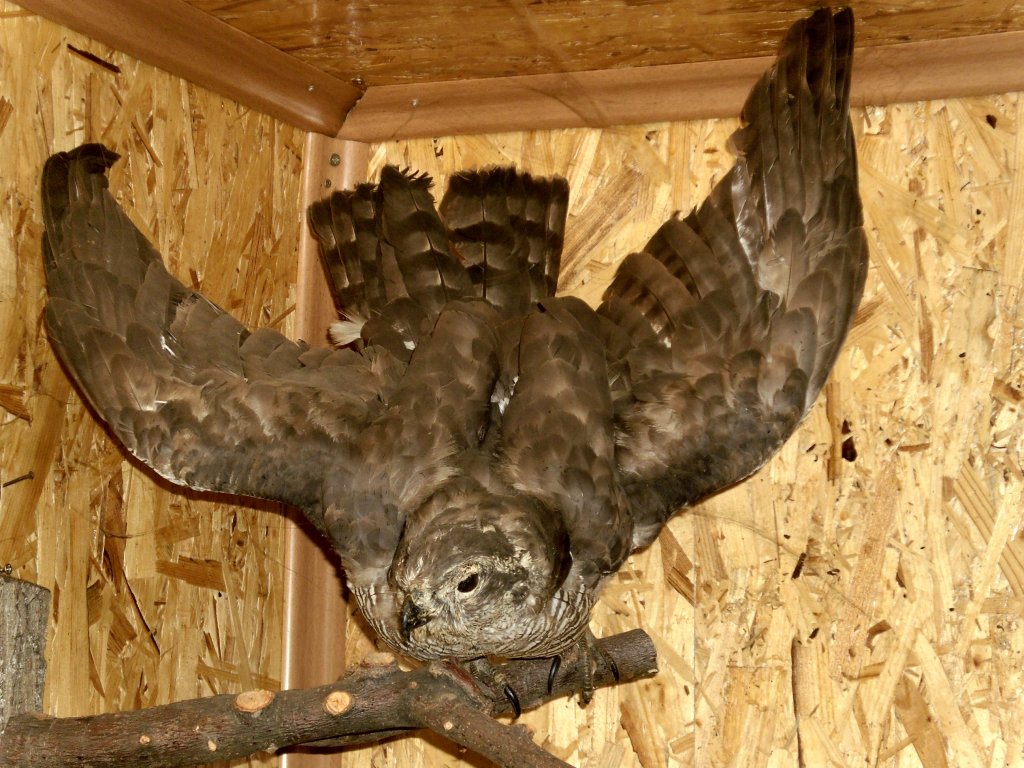 Натиснете снимката за да я уголемите

Име:SAM_3335.jpg
Прегледи:1
Размер:184.9 КБ
ID:5444126