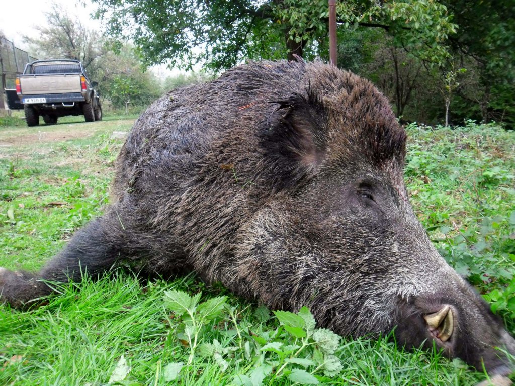 Натиснете снимката за да я уголемите

Име:SAM_3017.jpg
Прегледи:1
Размер:293.1 КБ
ID:5444221
