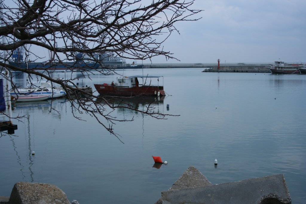 Натиснете снимката за да я уголемите

Име:IMG_7752.jpg
Прегледи:1
Размер:121.2 КБ
ID:5444540