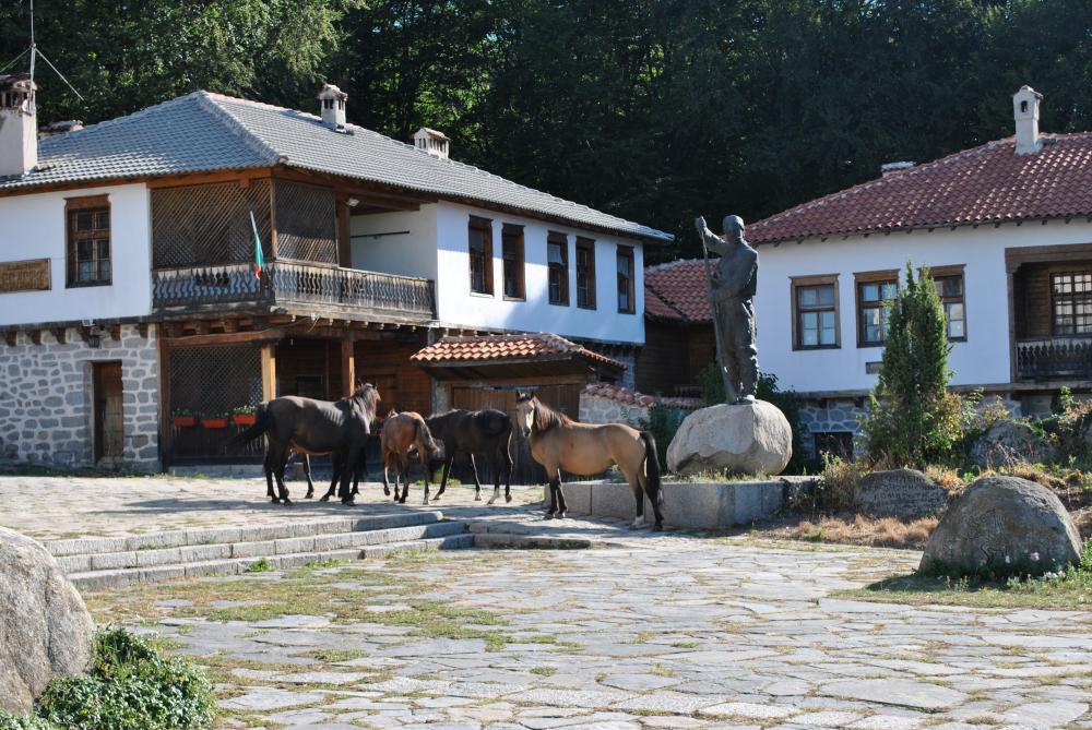 Натиснете снимката за да я уголемите

Име:DSC_1569.jpg
Прегледи:1
Размер:177.8 КБ
ID:5999091