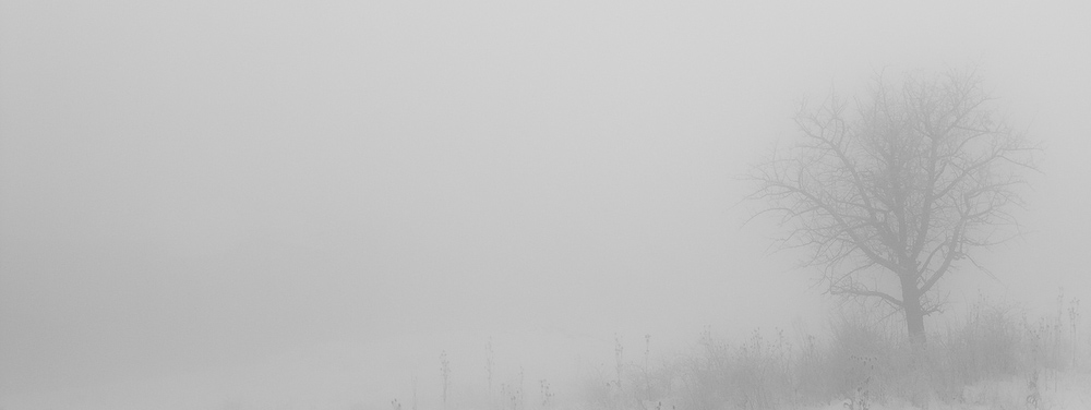 Натиснете снимката за да я уголемите

Име:DSC_0189.jpg
Прегледи:1
Размер:90.4 КБ
ID:5444673