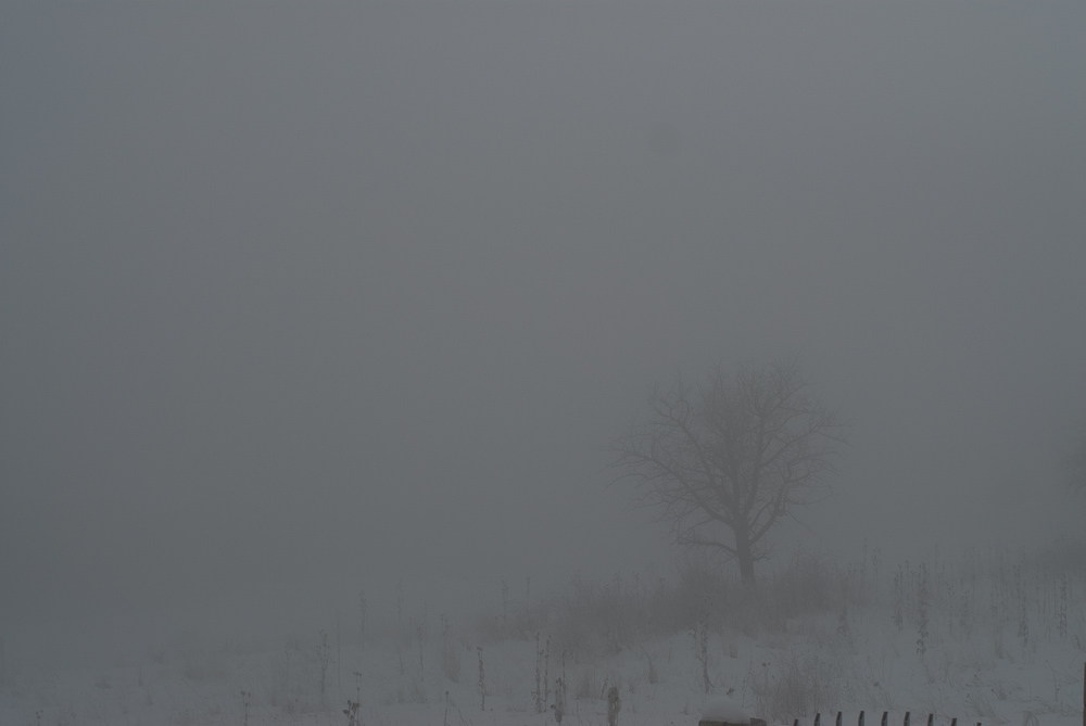 Натиснете снимката за да я уголемите

Име:DSC_0189-2.jpg
Прегледи:1
Размер:132.2 КБ
ID:5444672