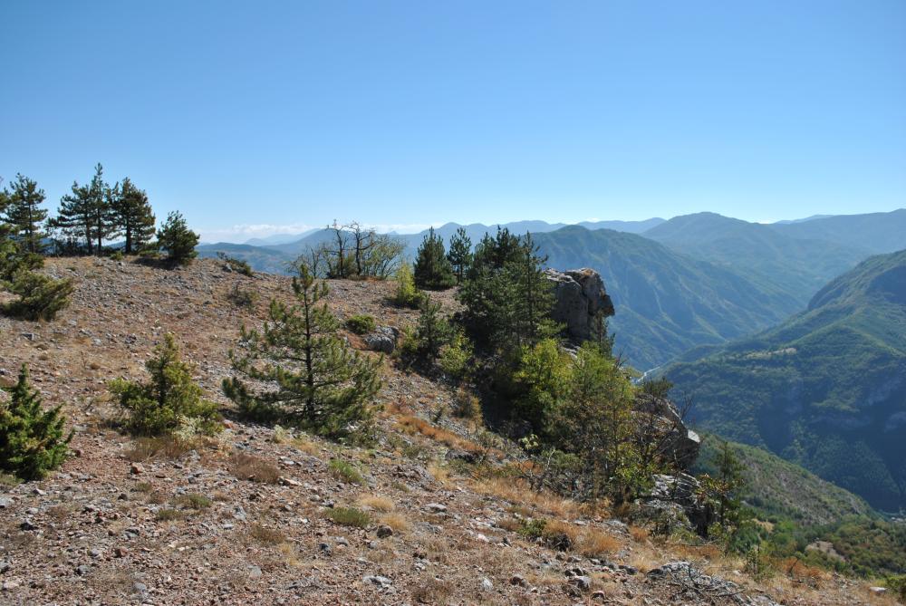 Натиснете снимката за да я уголемите

Име:DSC_1801.jpg
Прегледи:1
Размер:155.6 КБ
ID:5444792