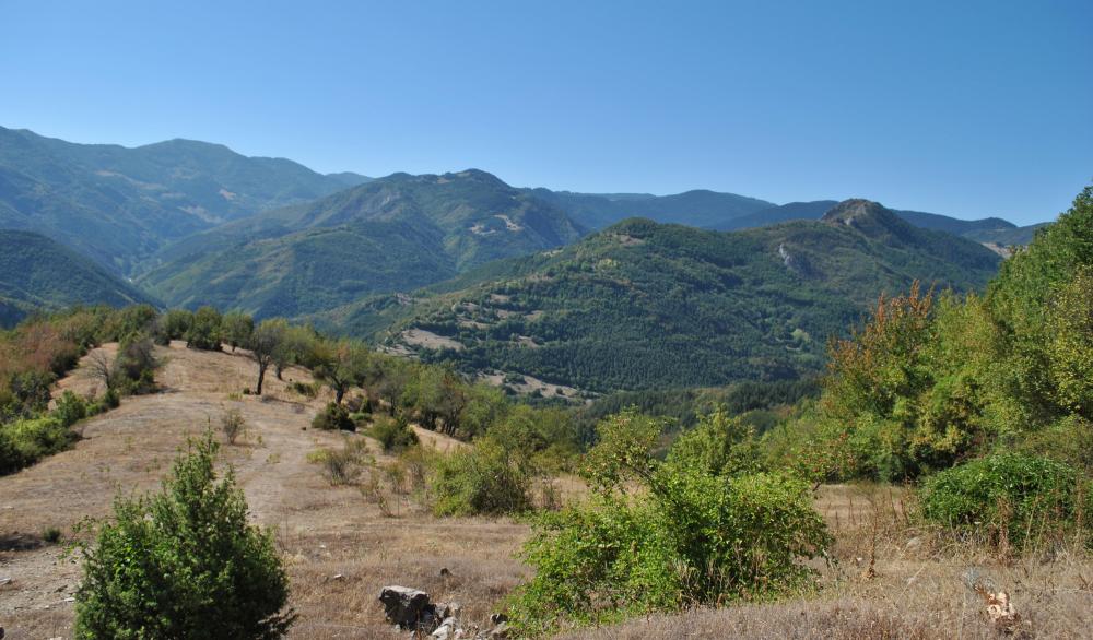 Натиснете снимката за да я уголемите

Име:DSC_1806.jpg
Прегледи:1
Размер:132.3 КБ
ID:5444793