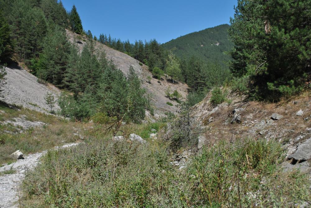 Натиснете снимката за да я уголемите

Име:DSC_1833.jpg
Прегледи:1
Размер:201.2 КБ
ID:5444797