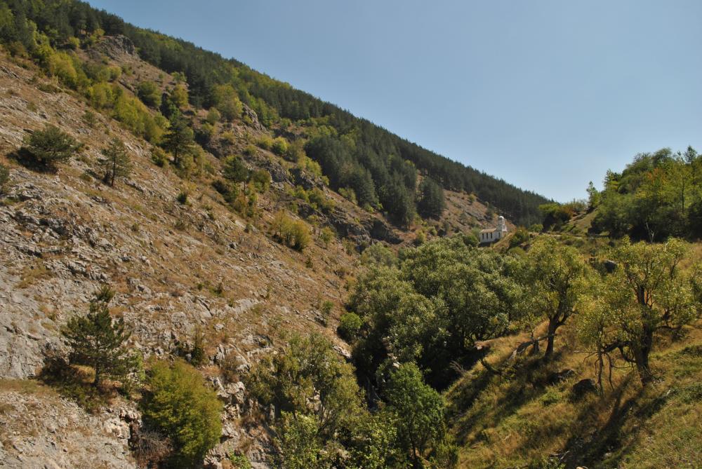 Натиснете снимката за да я уголемите

Име:DSC_1837.JPG
Прегледи:1
Размер:174.8 КБ
ID:5444800