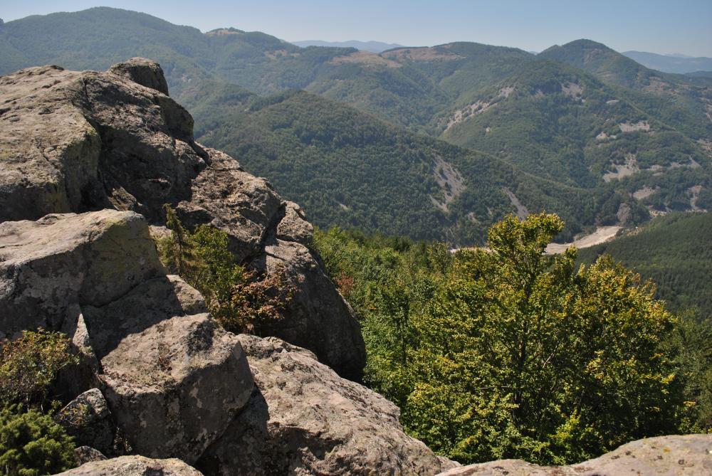 Натиснете снимката за да я уголемите

Име:DSC_1872.jpg
Прегледи:1
Размер:187.0 КБ
ID:5444808