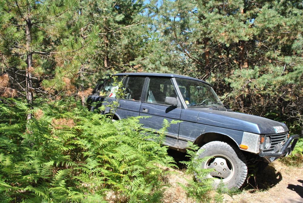 Натиснете снимката за да я уголемите

Име:DSC_1894.jpg
Прегледи:1
Размер:263.5 КБ
ID:5444812