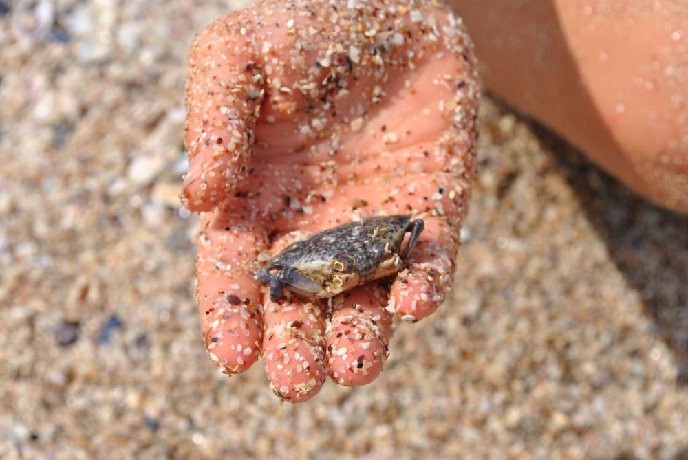 Натиснете снимката за да я уголемите

Име:DSC_1994.JPG
Прегледи:1
Размер:112.8 КБ
ID:5444826