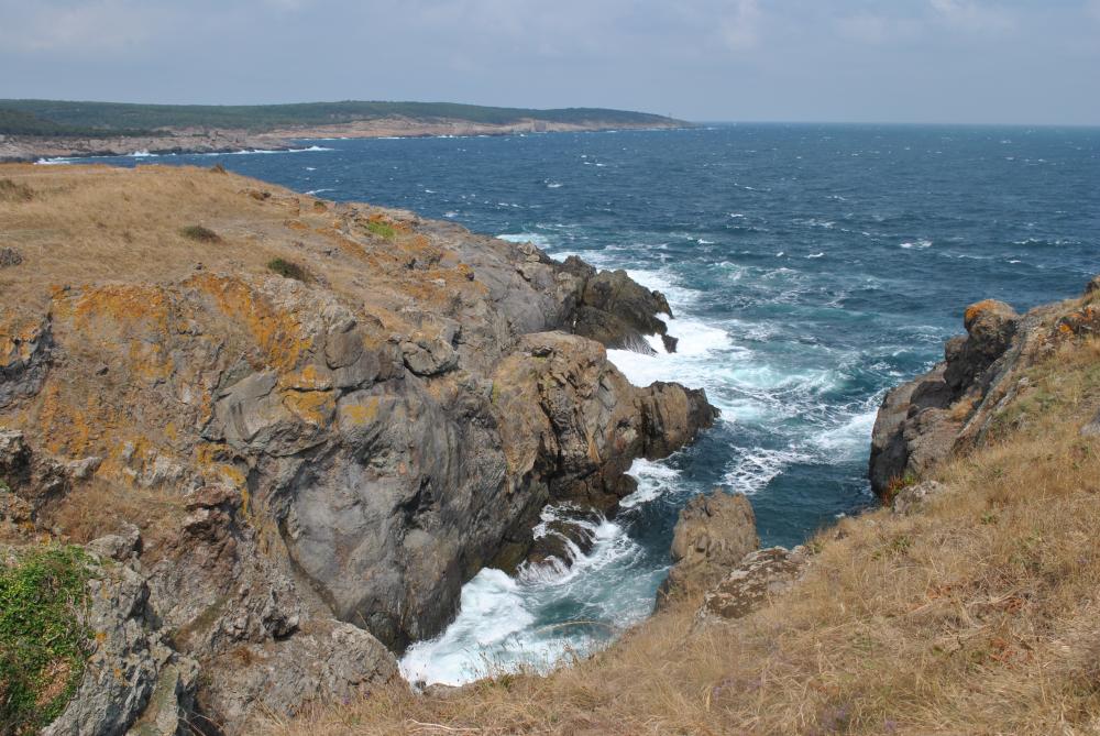 Натиснете снимката за да я уголемите

Име:DSC_2104.jpg
Прегледи:1
Размер:161.5 КБ
ID:5444833