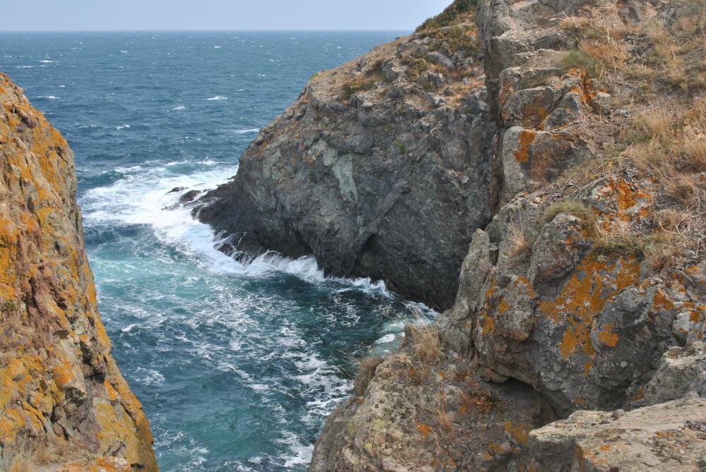 Натиснете снимката за да я уголемите

Име:DSC_2109.jpg
Прегледи:1
Размер:178.2 КБ
ID:5444835