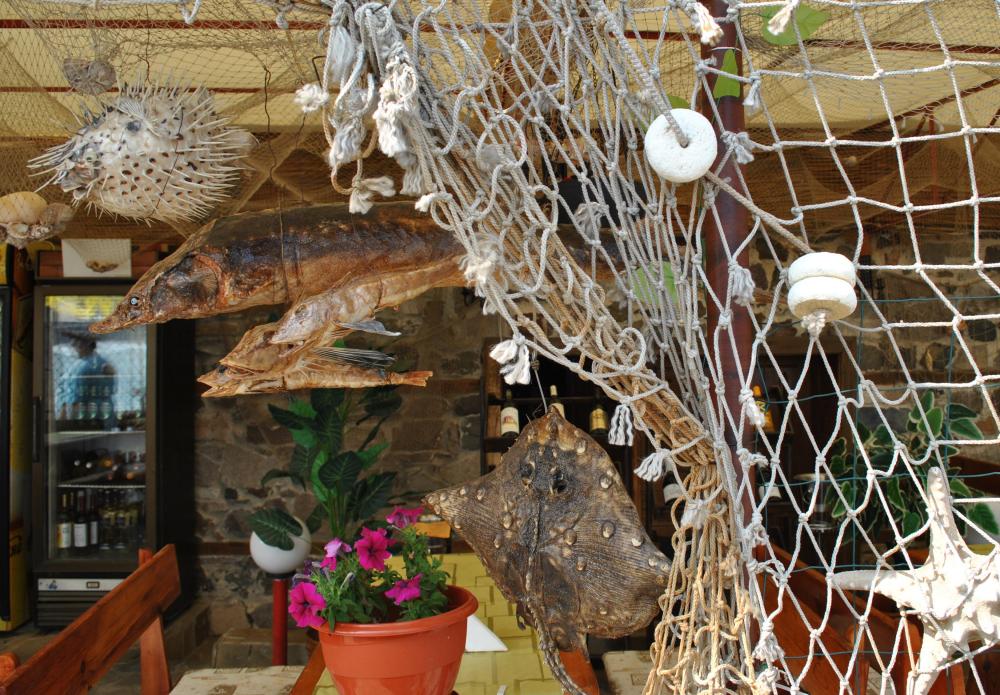 Натиснете снимката за да я уголемите

Име:DSC_2135.JPG
Прегледи:1
Размер:191.2 КБ
ID:5444840