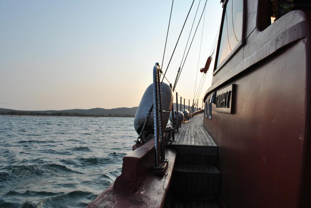 Натиснете снимката за да я уголемите

Име:DSC_2202.jpg
Прегледи:1
Размер:102.5 КБ
ID:5444849