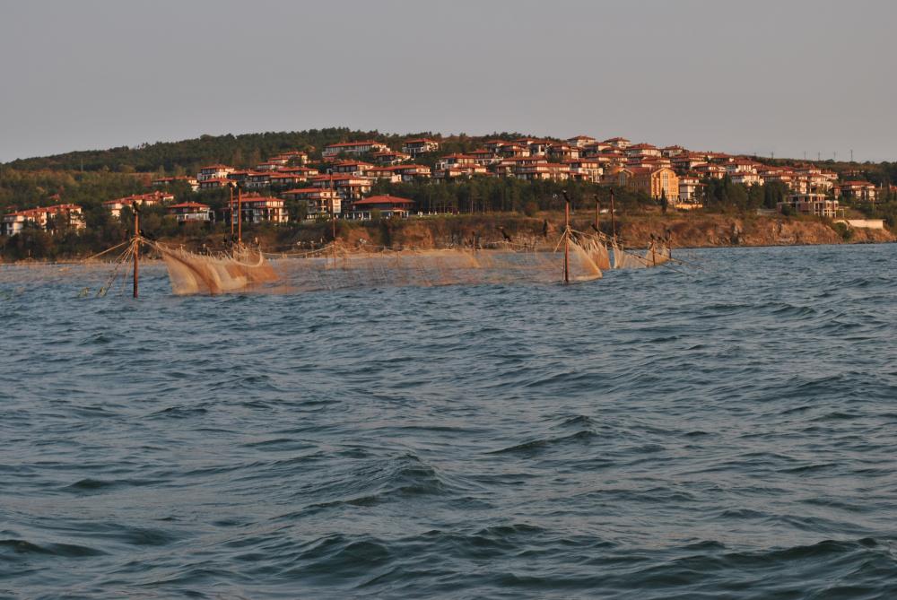 Натиснете снимката за да я уголемите

Име:DSC_2207.JPG
Прегледи:1
Размер:131.1 КБ
ID:5444856