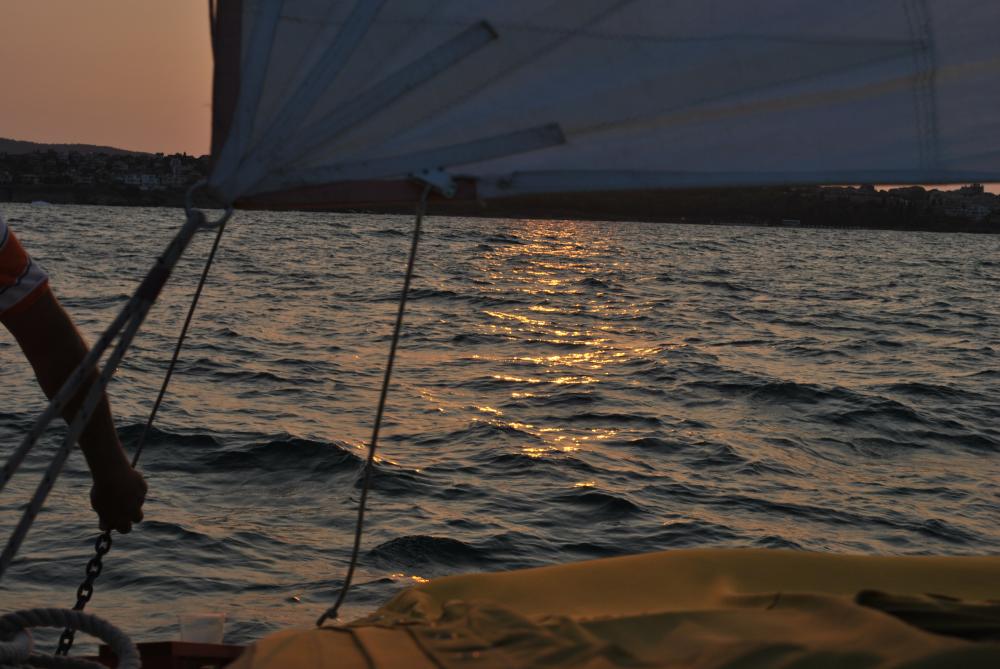 Натиснете снимката за да я уголемите

Име:DSC_2237.jpg
Прегледи:1
Размер:118.2 КБ
ID:5444858