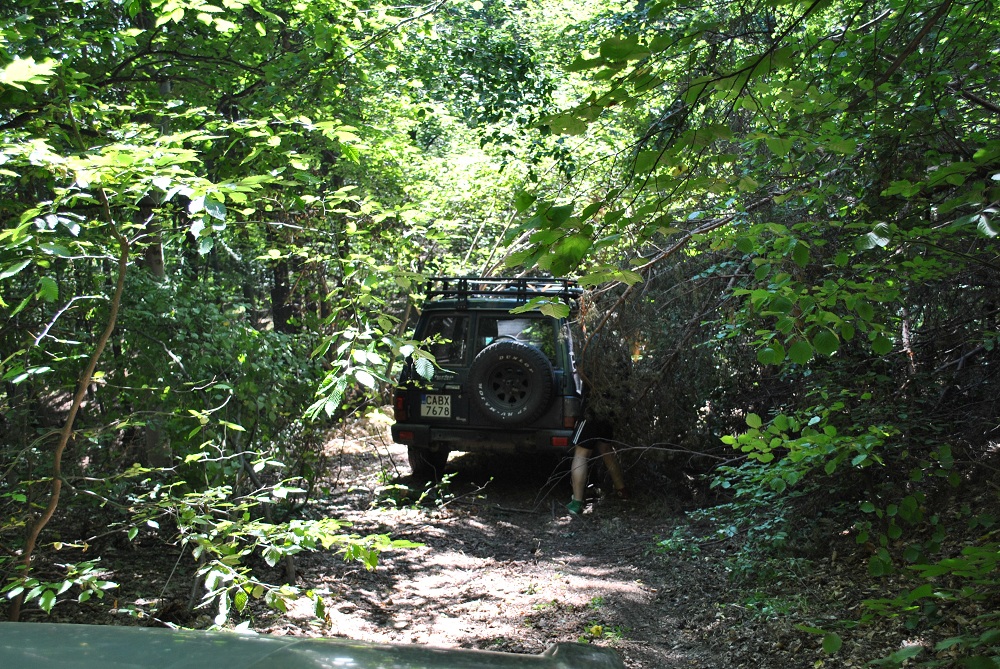 Натиснете снимката за да я уголемите

Име:DSC_0949.JPG
Прегледи:1
Размер:502.7 КБ
ID:5444872