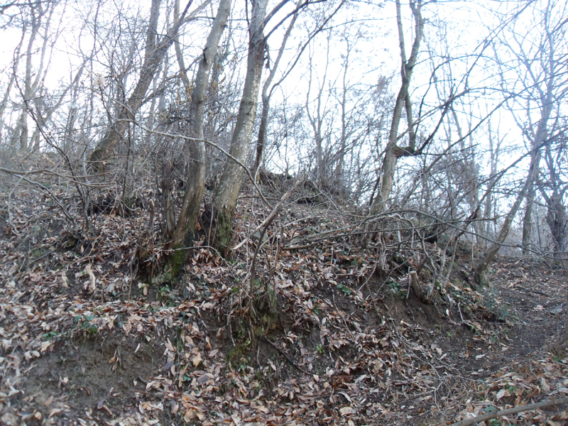 Натиснете снимката за да я уголемите

Име:SDC12700.JPG
Прегледи:1
Размер:666.6 КБ
ID:5444996