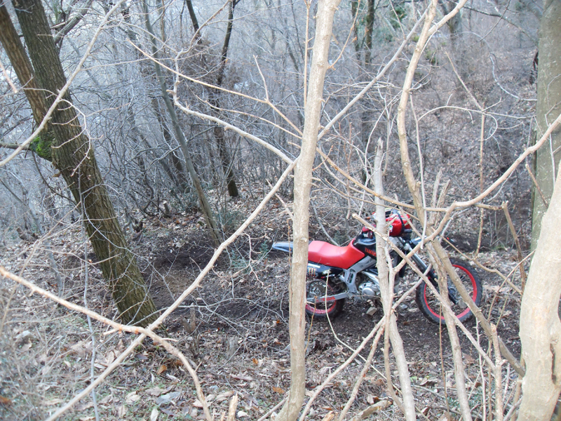 Натиснете снимката за да я уголемите

Име:SDC12701.JPG
Прегледи:1
Размер:643.2 КБ
ID:5444997