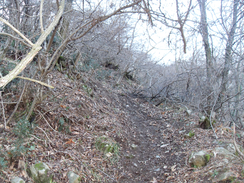 Натиснете снимката за да я уголемите

Име:SDC12702.JPG
Прегледи:1
Размер:666.2 КБ
ID:5444998