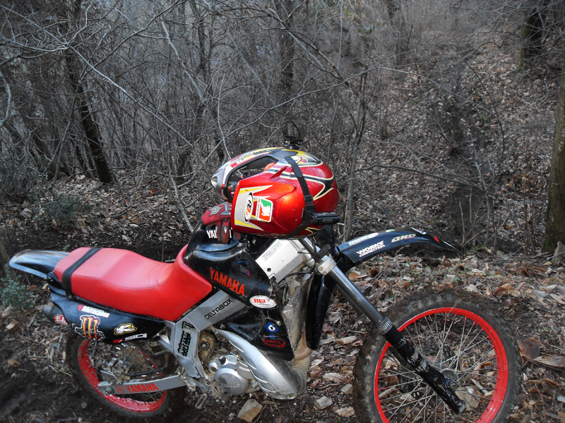 Натиснете снимката за да я уголемите

Име:SDC12705.JPG
Прегледи:1
Размер:579.0 КБ
ID:5445001