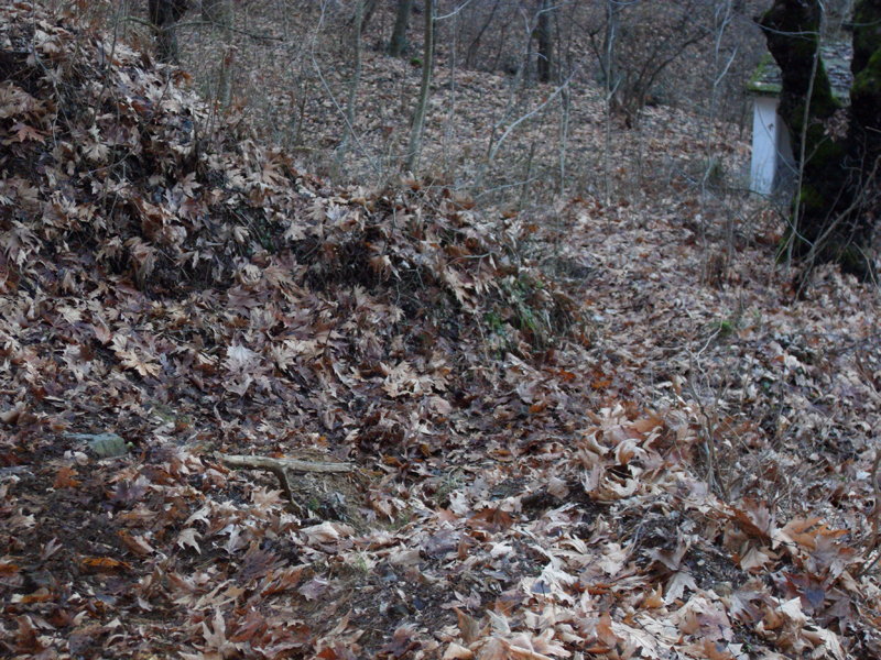 Натиснете снимката за да я уголемите

Име:SDC12711.JPG
Прегледи:1
Размер:654.8 КБ
ID:5445006