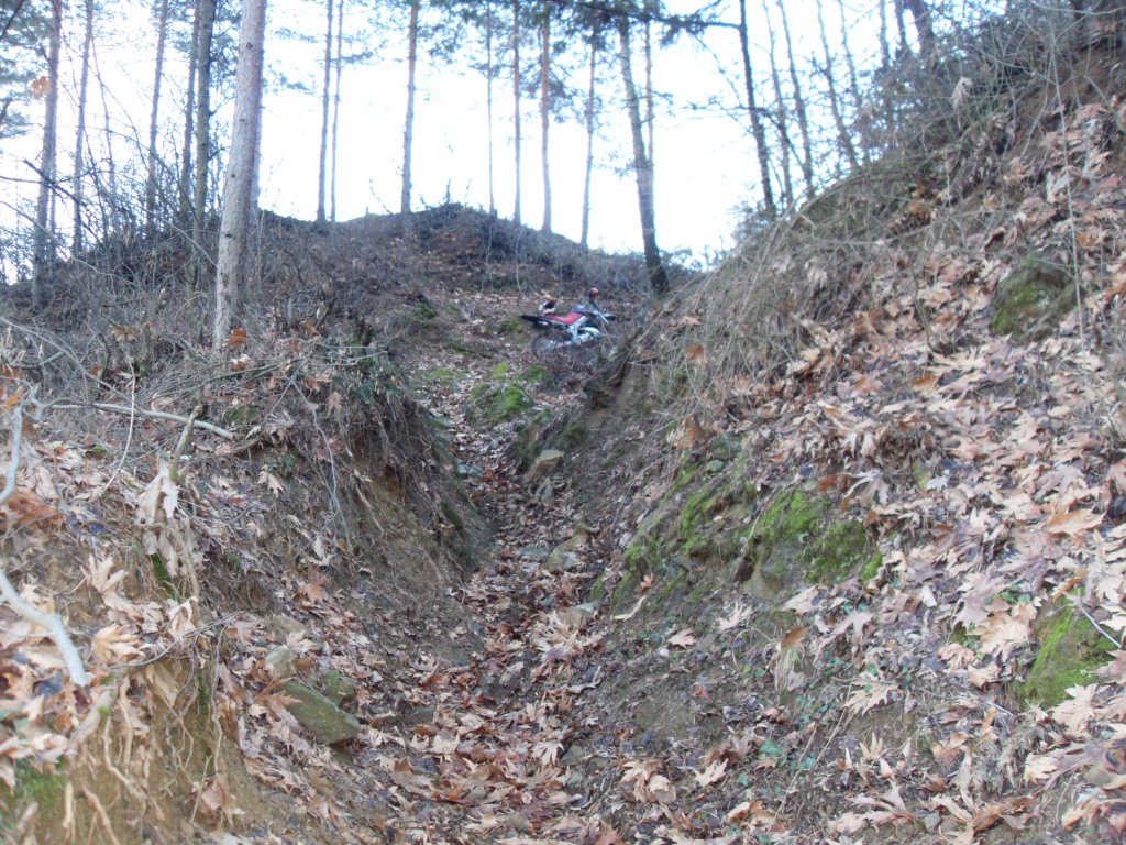 Натиснете снимката за да я уголемите

Име:SDC12712.jpg
Прегледи:1
Размер:259.7 КБ
ID:5445007