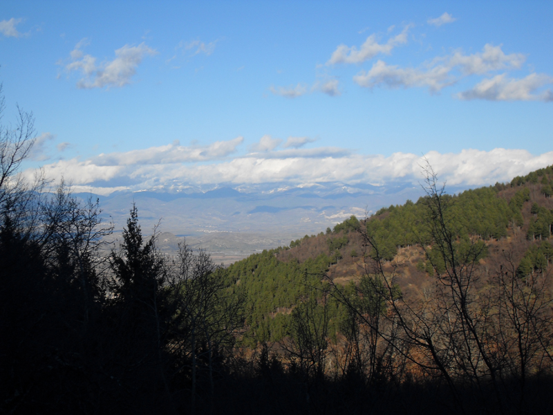 Натиснете снимката за да я уголемите

Име:SDC12717.JPG
Прегледи:1
Размер:345.6 КБ
ID:5445014