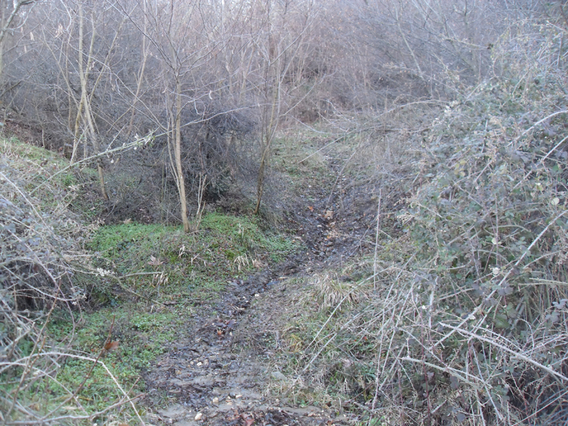 Натиснете снимката за да я уголемите

Име:SDC12725.JPG
Прегледи:1
Размер:594.2 КБ
ID:5445018