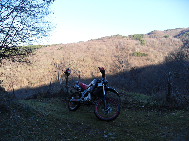 Натиснете снимката за да я уголемите

Име:SDC12726.JPG
Прегледи:1
Размер:489.3 КБ
ID:5445019