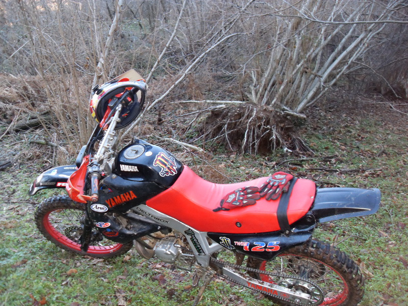 Натиснете снимката за да я уголемите

Име:SDC12727.JPG
Прегледи:1
Размер:569.7 КБ
ID:5445020