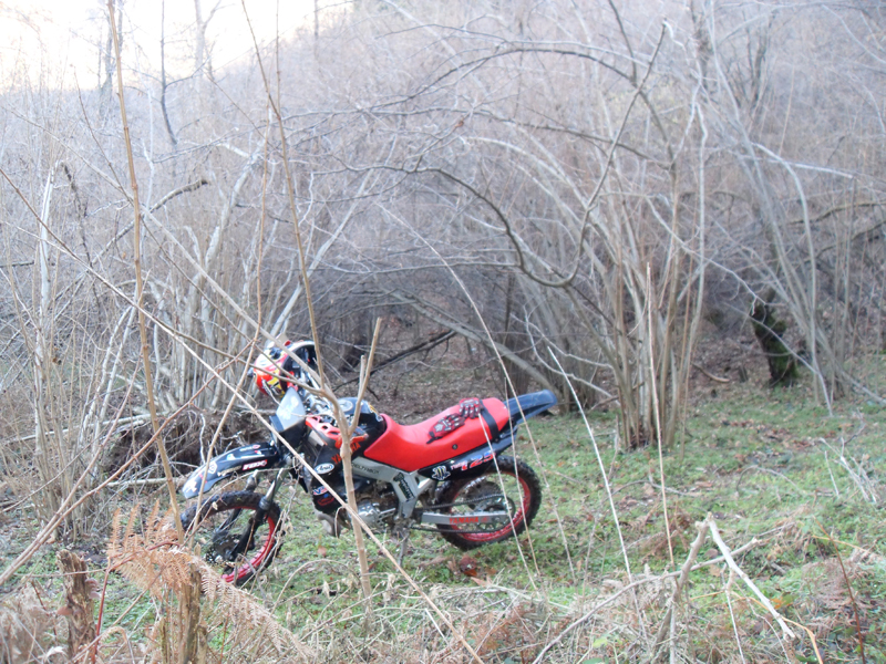 Натиснете снимката за да я уголемите

Име:SDC12728.JPG
Прегледи:1
Размер:558.4 КБ
ID:5445021