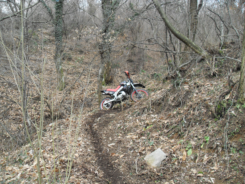 Натиснете снимката за да я уголемите

Име:SDC12734.JPG
Прегледи:1
Размер:683.2 КБ
ID:5445502