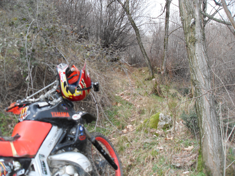 Натиснете снимката за да я уголемите

Име:SDC12736.JPG
Прегледи:1
Размер:538.4 КБ
ID:5445504